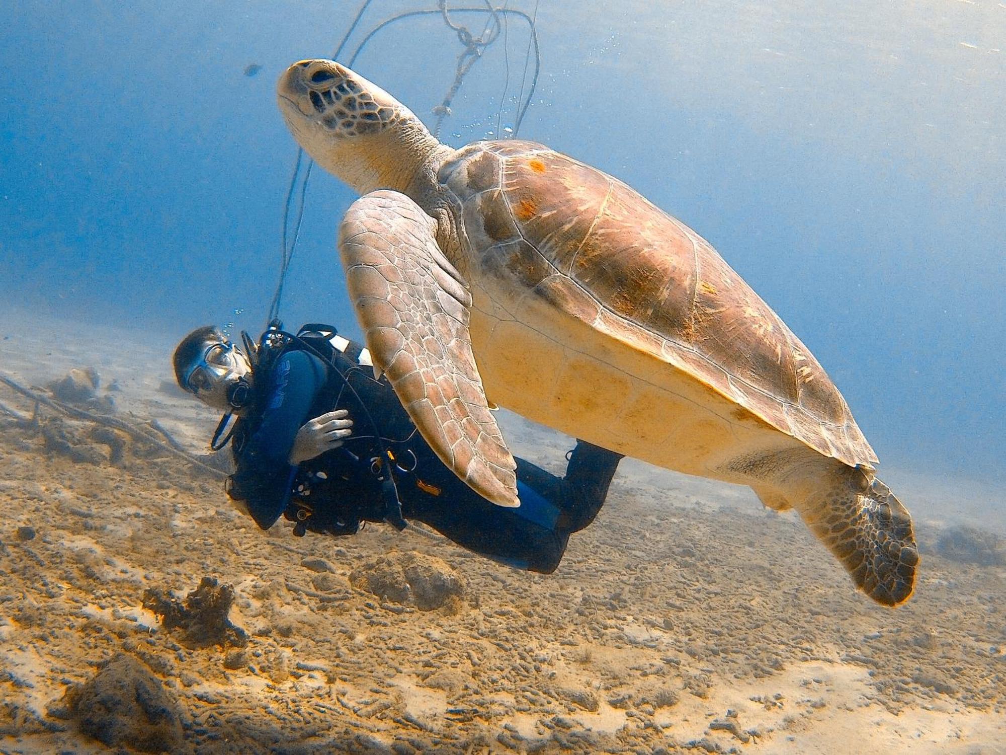 Вилла Finisterre Curacao Westpunt Экстерьер фото