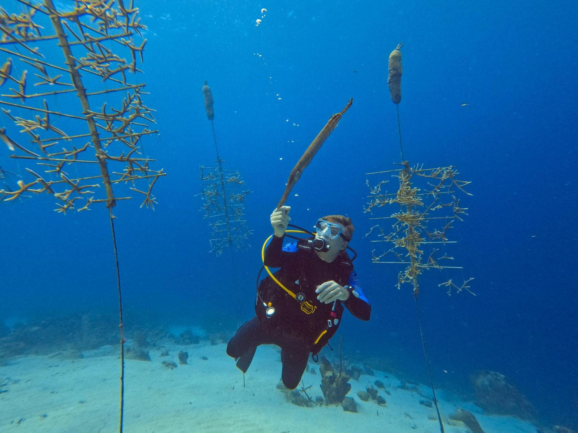 Вилла Finisterre Curacao Westpunt Экстерьер фото